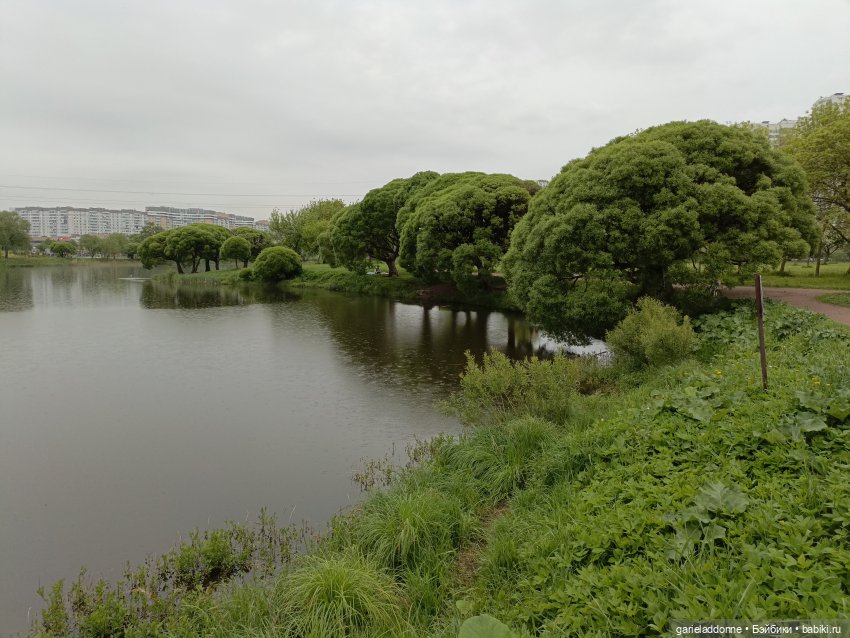 Летопись Октопуса — Туризм и путешествия: фотоотчеты из поездок