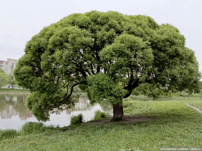Летопись Октопуса — Туризм и путешествия: фотоотчеты из поездок (фото 5)