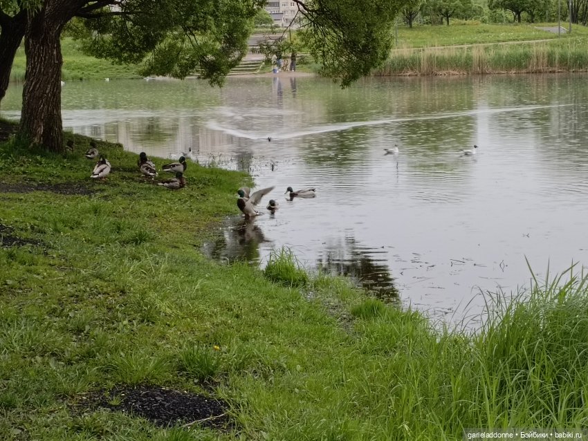 Летопись Октопуса — Туризм и путешествия: фотоотчеты из поездок (фото 4)