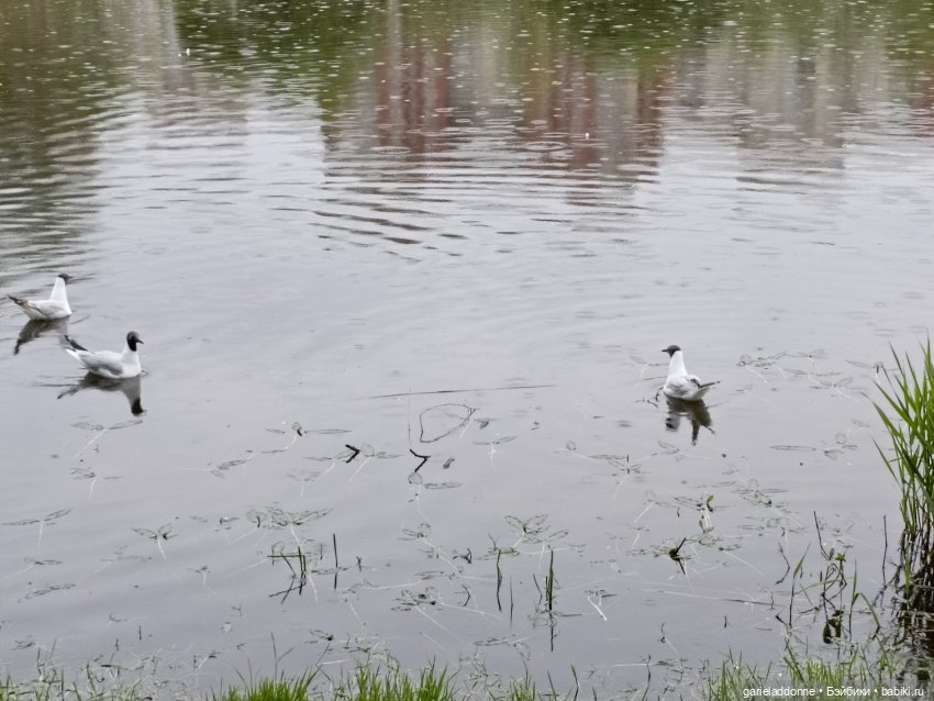 Летопись Октопуса — Туризм и путешествия: фотоотчеты из поездок (фото 7)