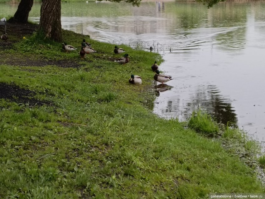 Летопись Октопуса — Туризм и путешествия: фотоотчеты из поездок (фото 6)