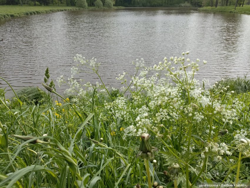 Летопись Октопуса — Туризм и путешествия: фотоотчеты из поездок