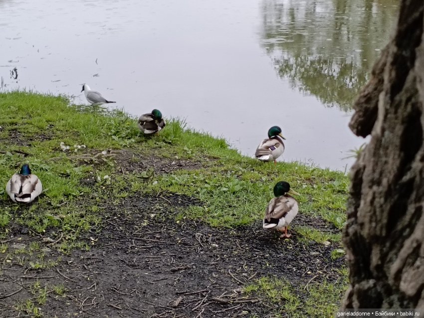 Летопись Октопуса — Туризм и путешествия: фотоотчеты из поездок (фото 10)