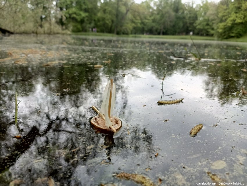 Летопись Октопуса — Туризм и путешествия: фотоотчеты из поездок