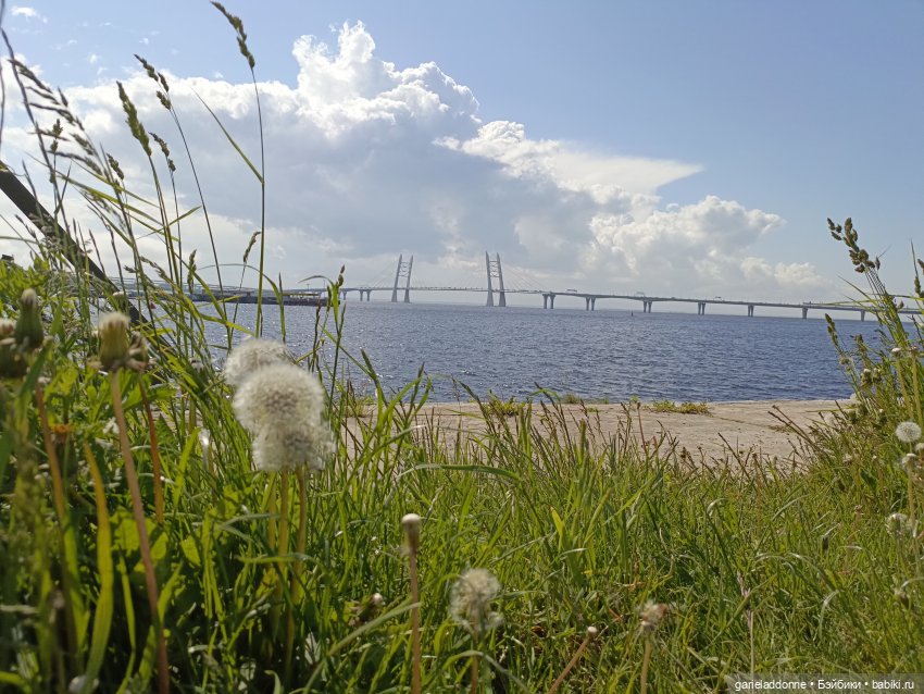 Летопись Октопуса 2 — Туризм и путешествия: фотоотчеты из поездок