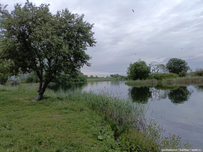 Летопись Октопуса 2 — Туризм и путешествия: фотоотчеты из поездок