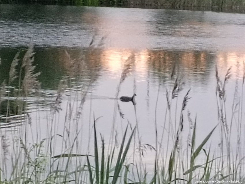 Летопись Октопуса 2 — Туризм и путешествия: фотоотчеты из поездок (фото 6)