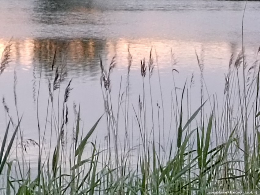 Летопись Октопуса 2 — Туризм и путешествия: фотоотчеты из поездок (фото 3)