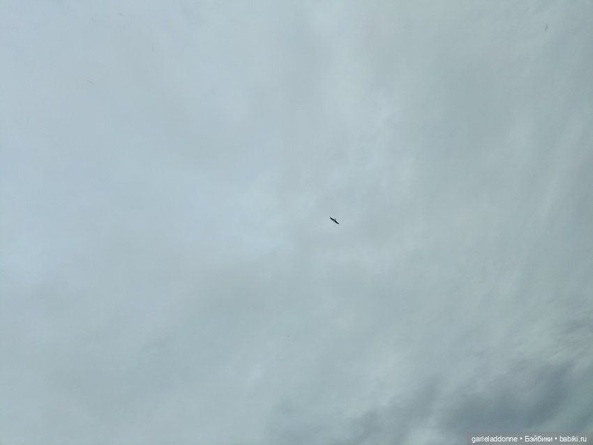 Летопись Октопуса 2 — Туризм и путешествия: фотоотчеты из поездок