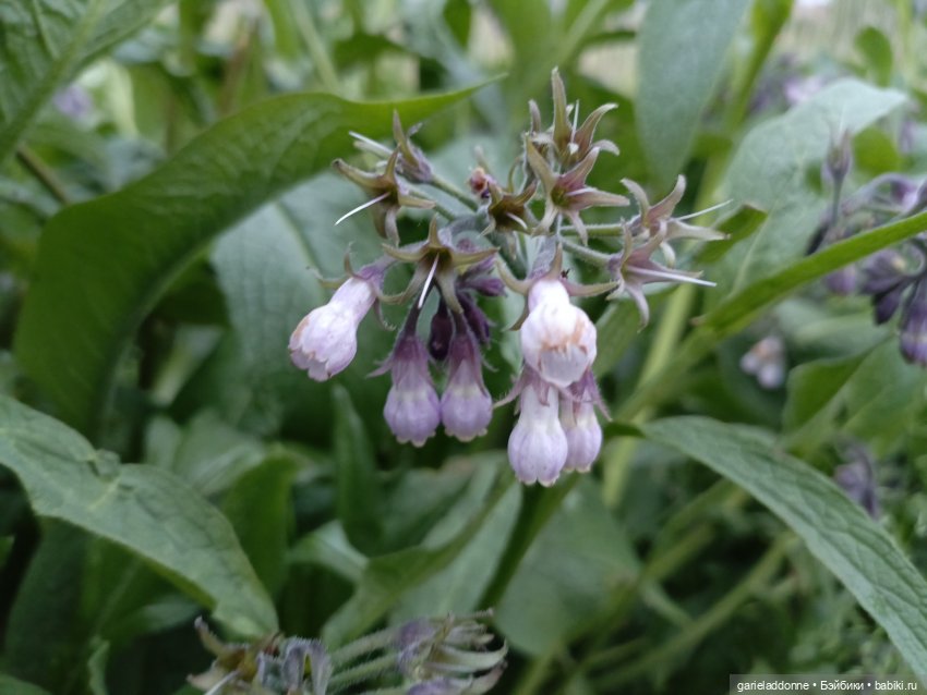 Летопись Октопуса 2 — Туризм и путешествия: фотоотчеты из поездок (фото 4)