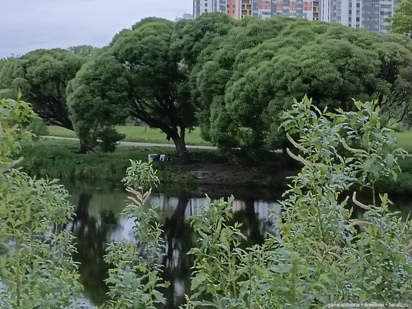 Летопись Октопуса 2 — Туризм и путешествия: фотоотчеты из поездок