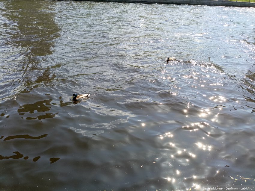 Летопись Октопуса 2 — Туризм и путешествия: фотоотчеты из поездок