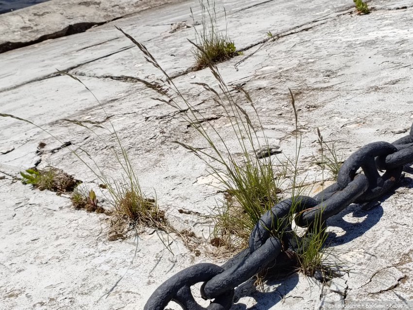 Летопись Октопуса 2 — Туризм и путешествия: фотоотчеты из поездок