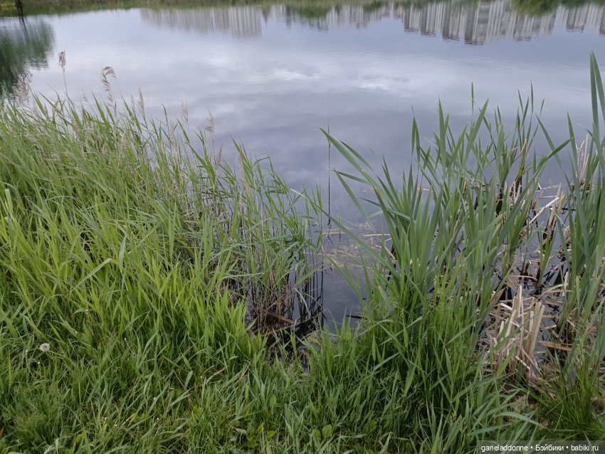 Летопись Октопуса 2 — Туризм и путешествия: фотоотчеты из поездок (фото 9)