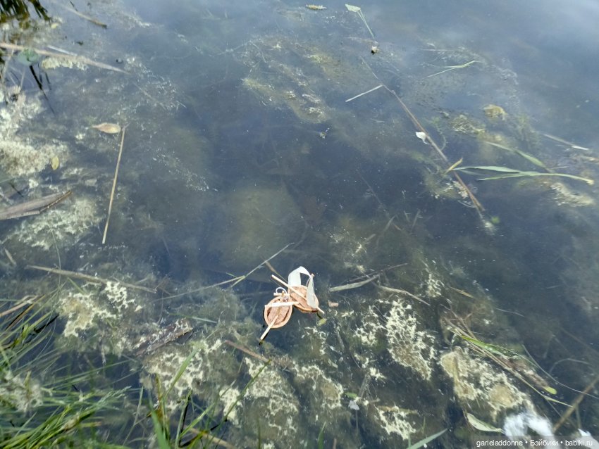 Летопись Октопуса 2 — Туризм и путешествия: фотоотчеты из поездок