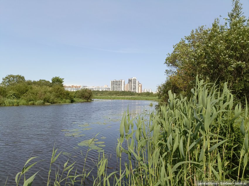 Летопись Октопуса 4 — Туризм и путешествия: фотоотчеты из поездок (фото 10)