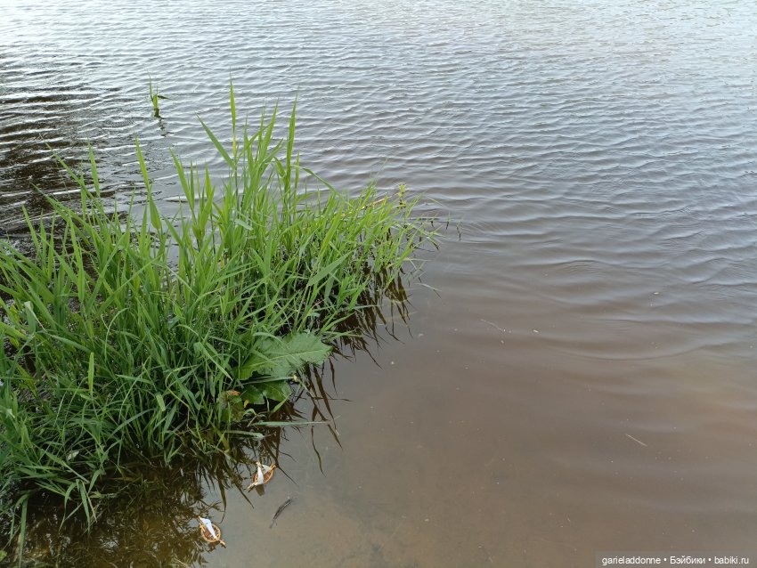 Летопись Октопуса 4 — Туризм и путешествия: фотоотчеты из поездок (фото 8)