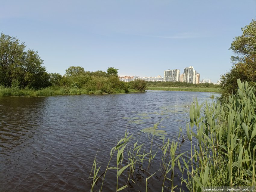 Летопись Октопуса 4 — Туризм и путешествия: фотоотчеты из поездок (фото 7)