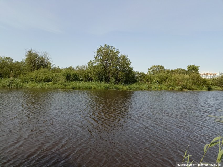 Летопись Октопуса 4 — Туризм и путешествия: фотоотчеты из поездок (фото 4)