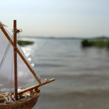 Летопись Октопуса 4