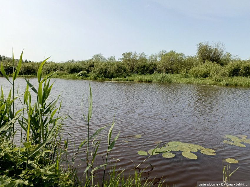 Летопись Октопуса 5 — Туризм и путешествия: фотоотчеты из поездок (фото 4)