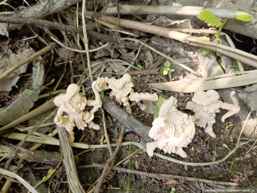 Летопись Октопуса 5 — Туризм и путешествия: фотоотчеты из поездок