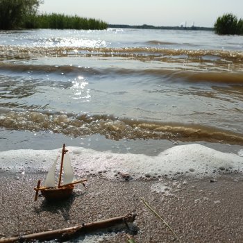 Летопись Октопуса 5