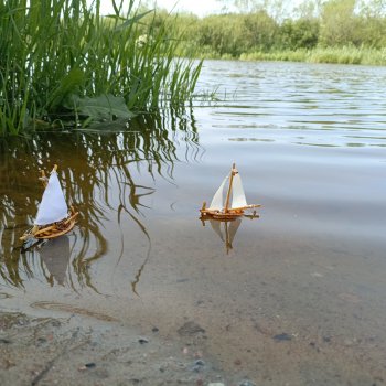 Летопись Октопуса 6