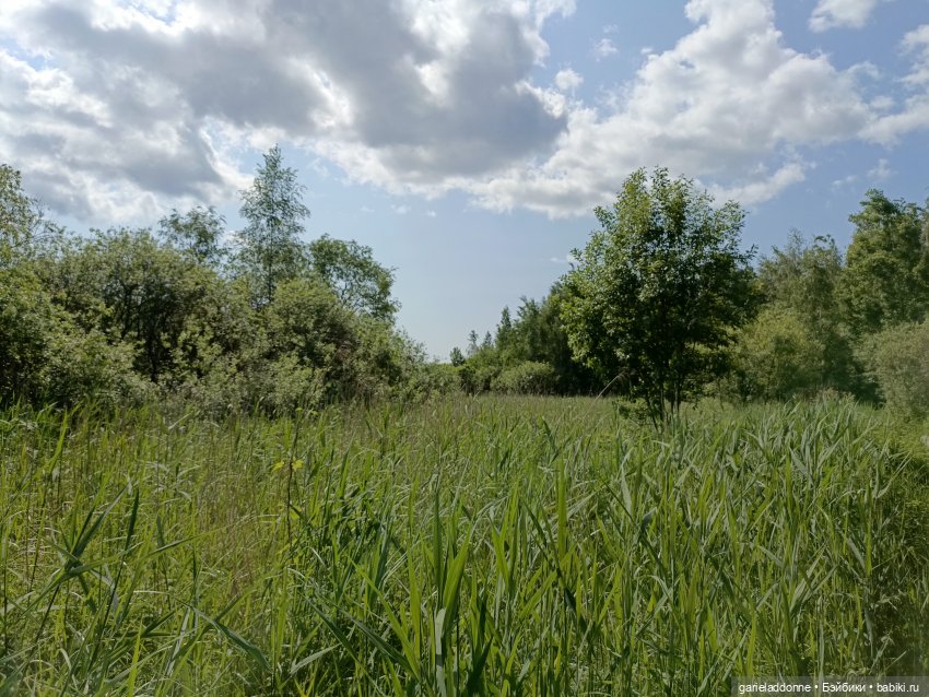 Летопись Октопуса 7 — Туризм и путешествия: фотоотчеты из поездок