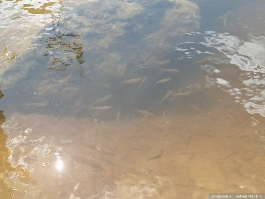 Летопись Октопуса часть 8