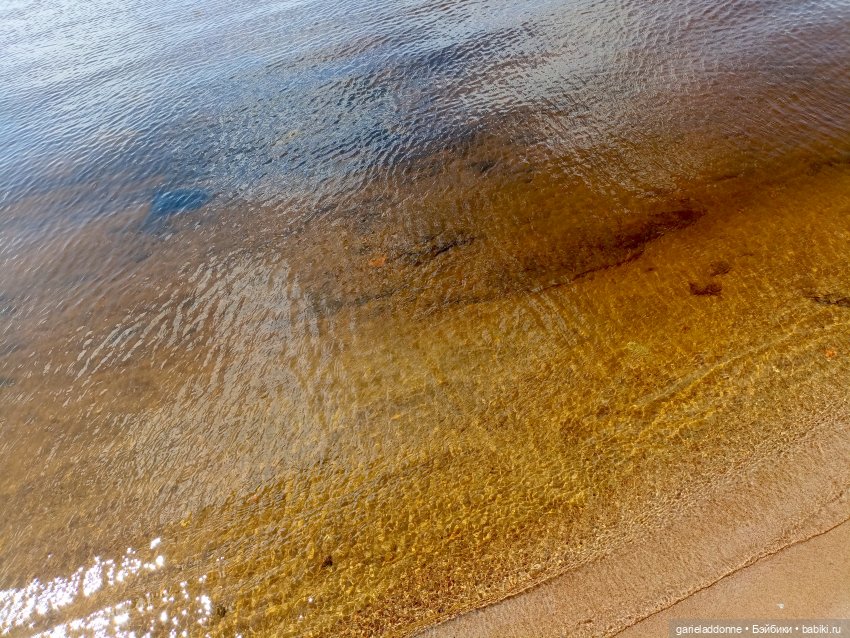 Летопись Октопуса часть 8