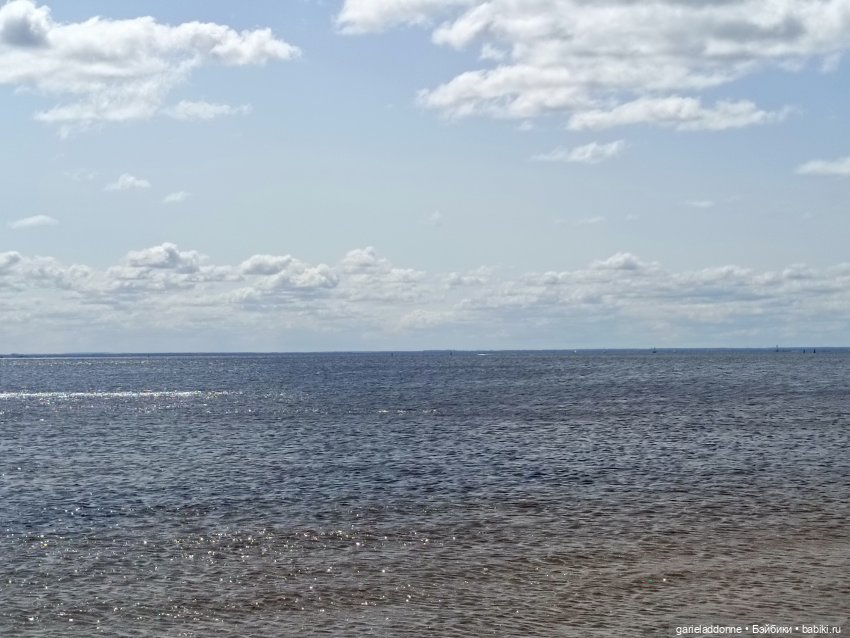 Летопись Октопуса часть 8