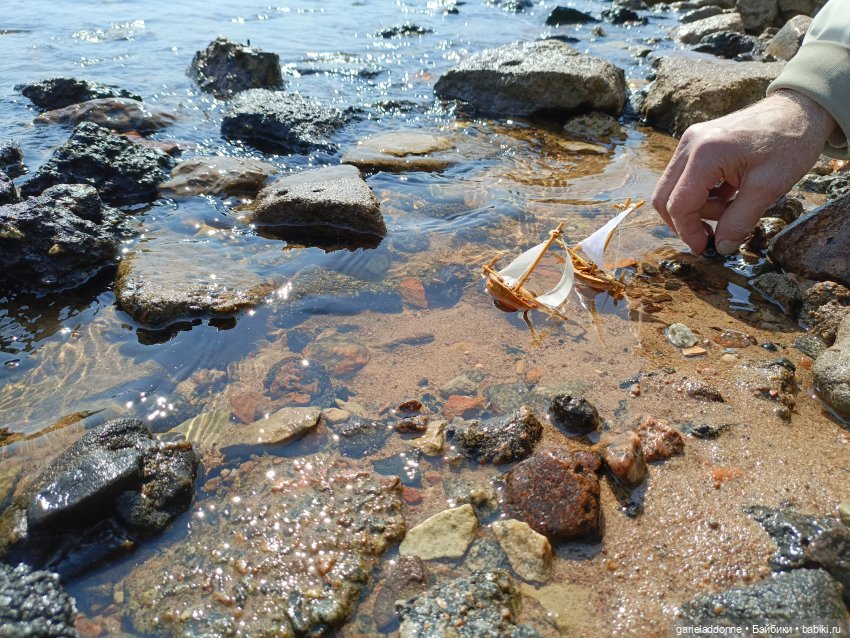 Летопись Октопуса часть 8