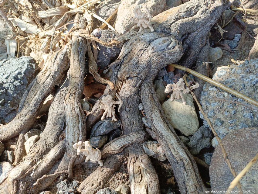 Летопись Октопуса часть 8