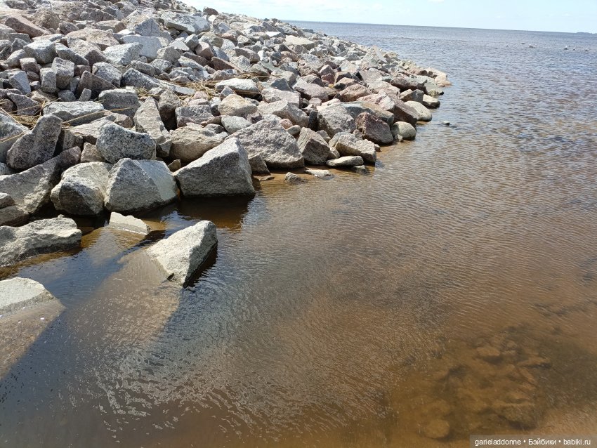 Летопись Октопуса часть 8 (фото 8)