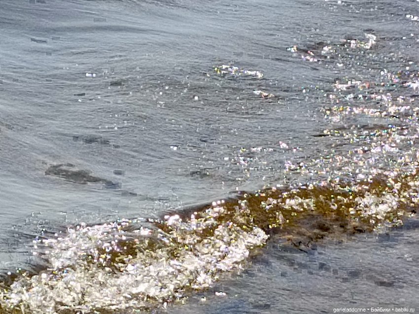 Летопись Октопуса часть 8