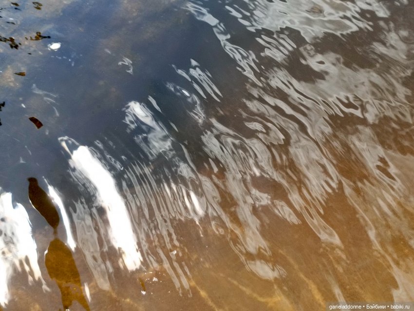 Летопись Октопуса часть 8