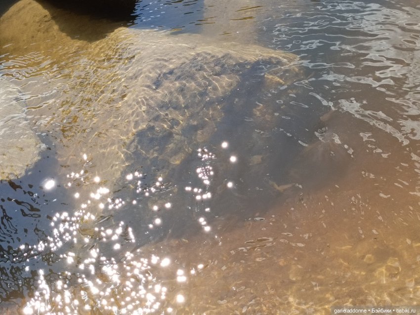 Летопись Октопуса часть 8