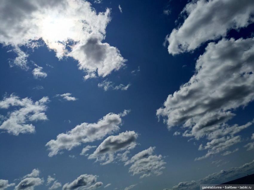 Летопись Октопуса часть 8 (фото 7)