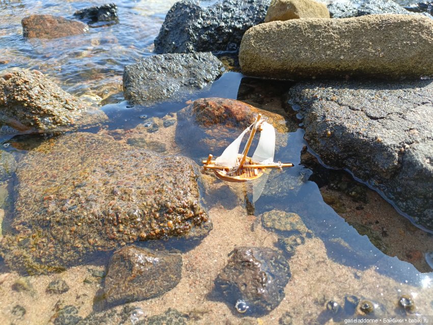 Летопись Октопуса часть 8