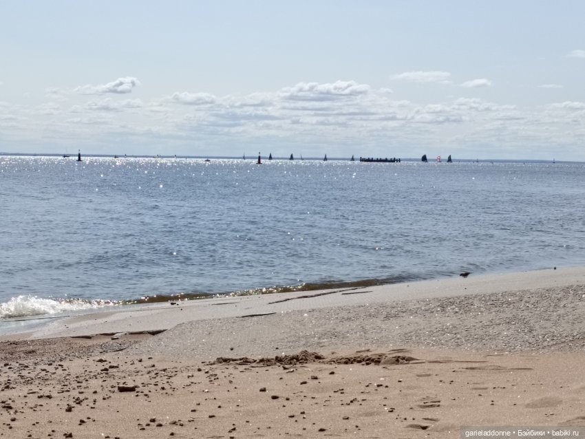 Летопись Октопуса часть 8