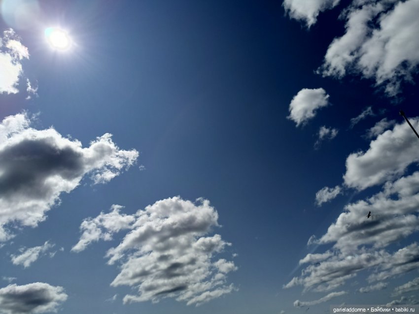 Летопись Октопуса часть 8 (фото 5)