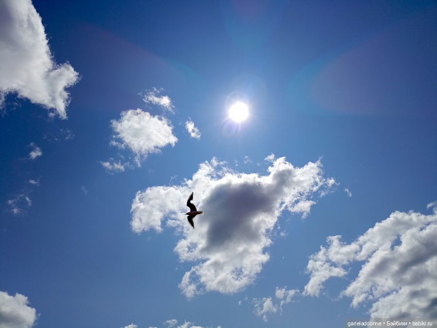 Летопись Октопуса часть 8 (фото 2)