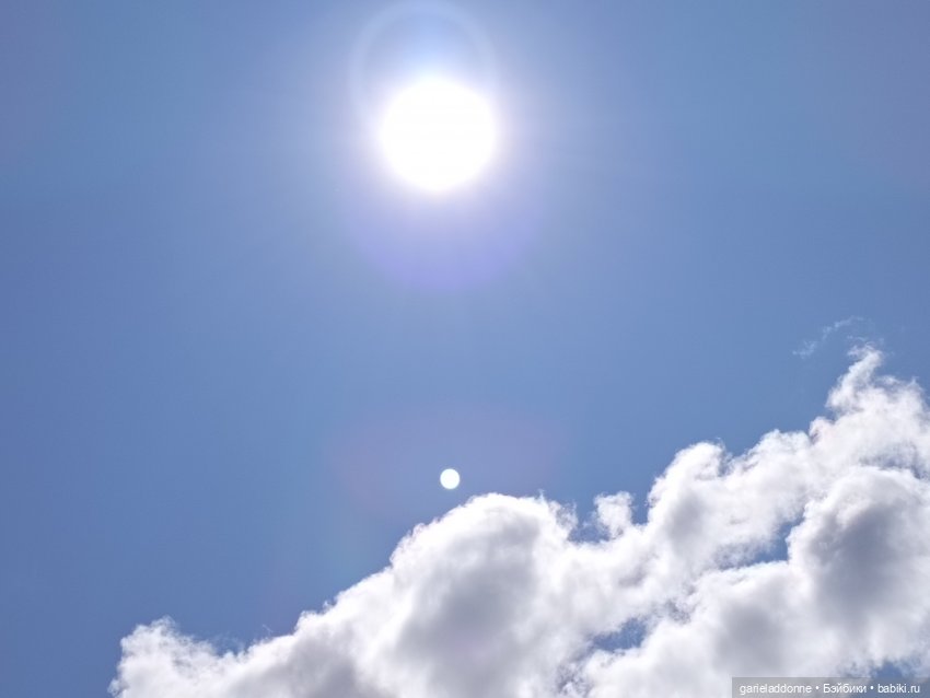 Летопись Октопуса часть 8