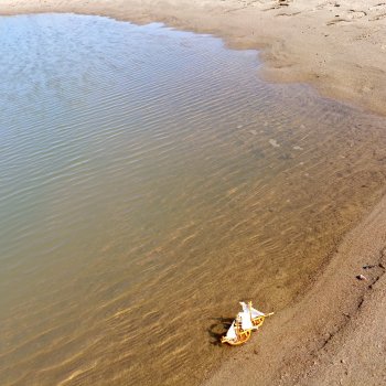 Летопись Октопуса часть 8