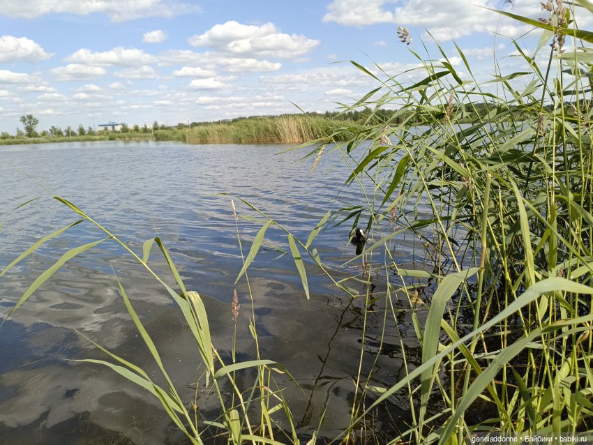 Летопись Октопуса часть 9 (фото 5)