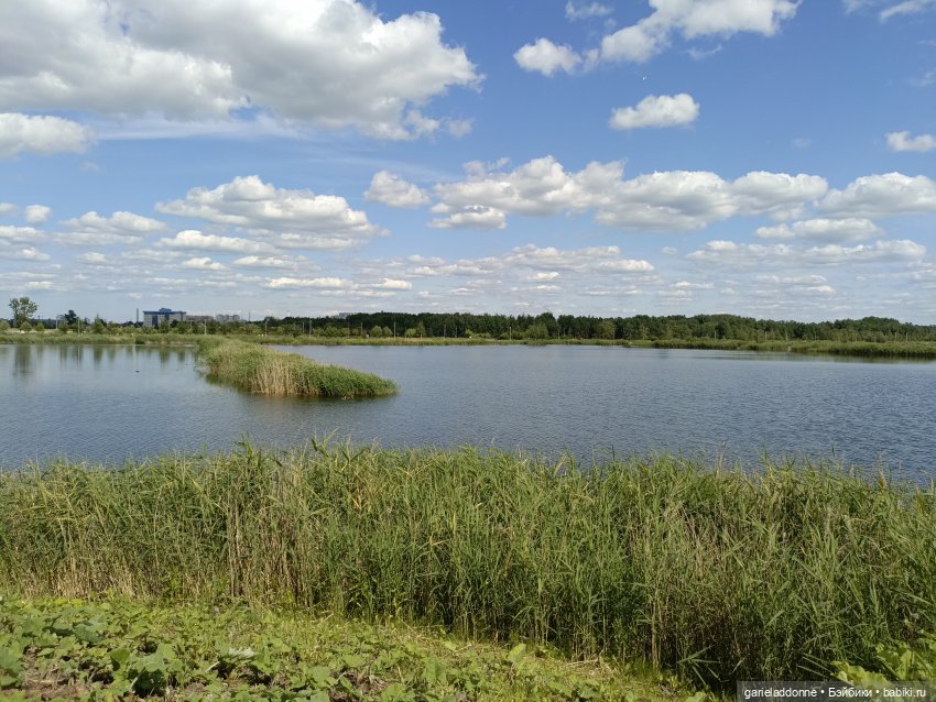 Летопись Октопуса часть 9 (фото 4)