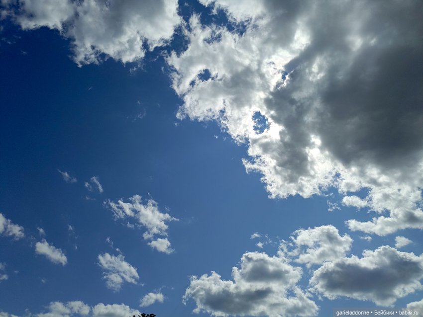 Летопись Октопуса часть 9 (фото 2)