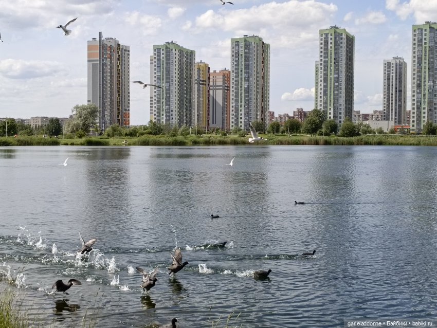 Летопись Октопуса часть 9