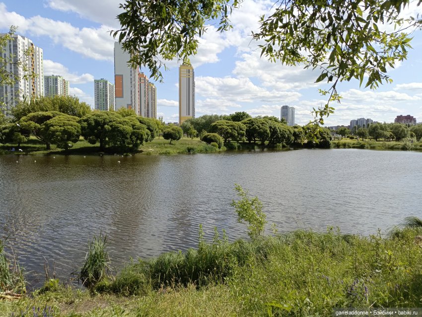 Летопись Октопуса часть 9 (фото 3)